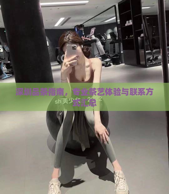深圳品茶指南，专业茶艺体验与联系方式汇总