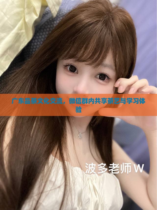 广东品茶文化交流，微信群内共享茶艺与学习体验