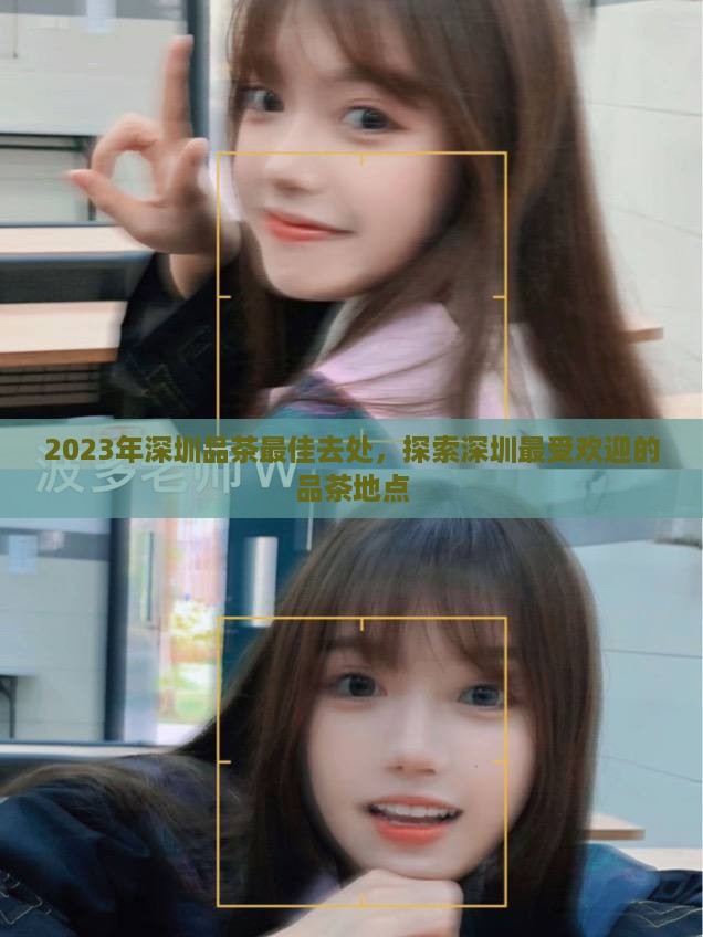 2023年深圳品茶最佳去处，探索深圳最受欢迎的品茶地点