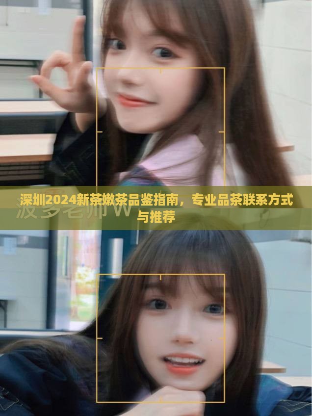 深圳2024新茶嫩茶品鉴指南，专业品茶联系方式与推荐