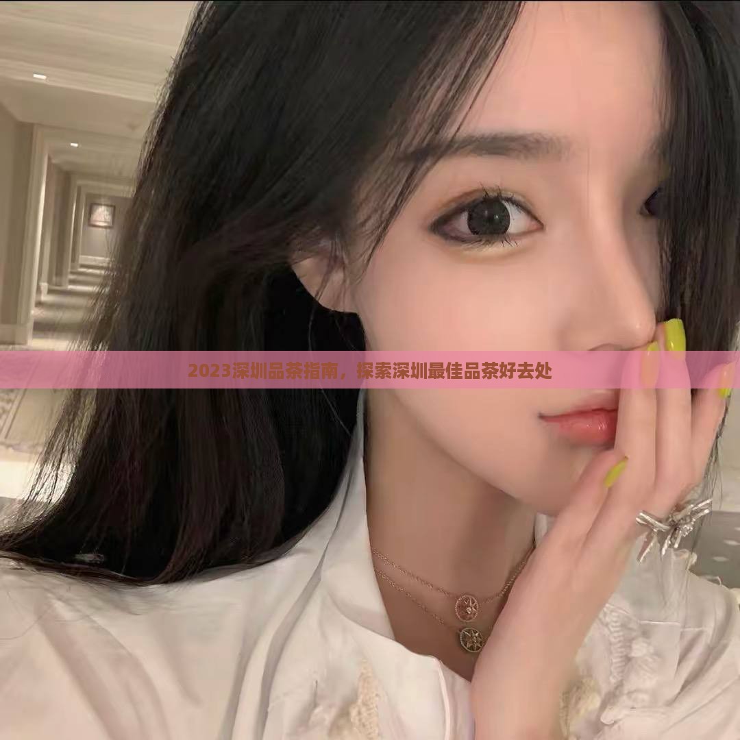2023深圳品茶指南，探索深圳最佳品茶好去处